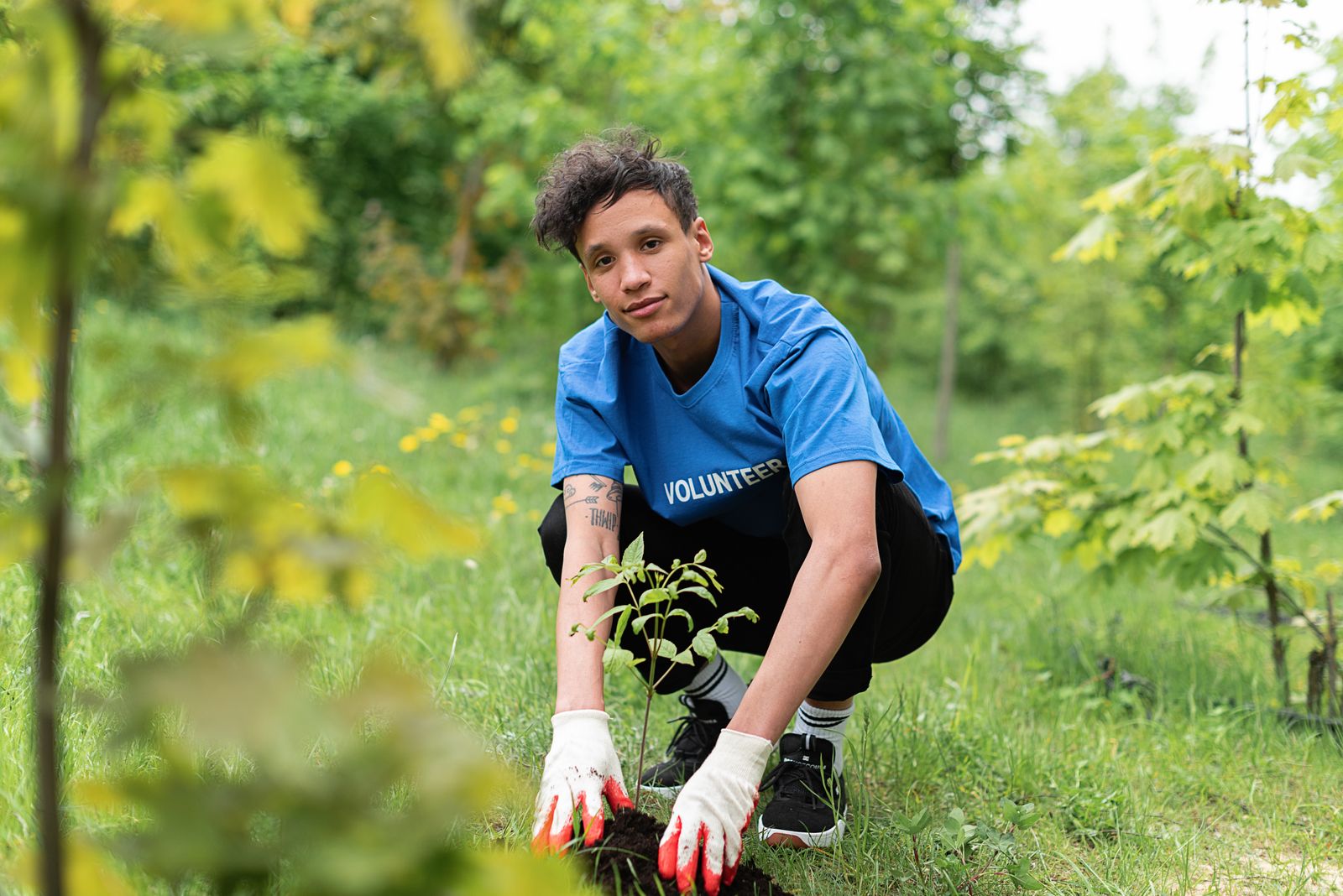 A volunteer planting a young tree in a green outdoor space